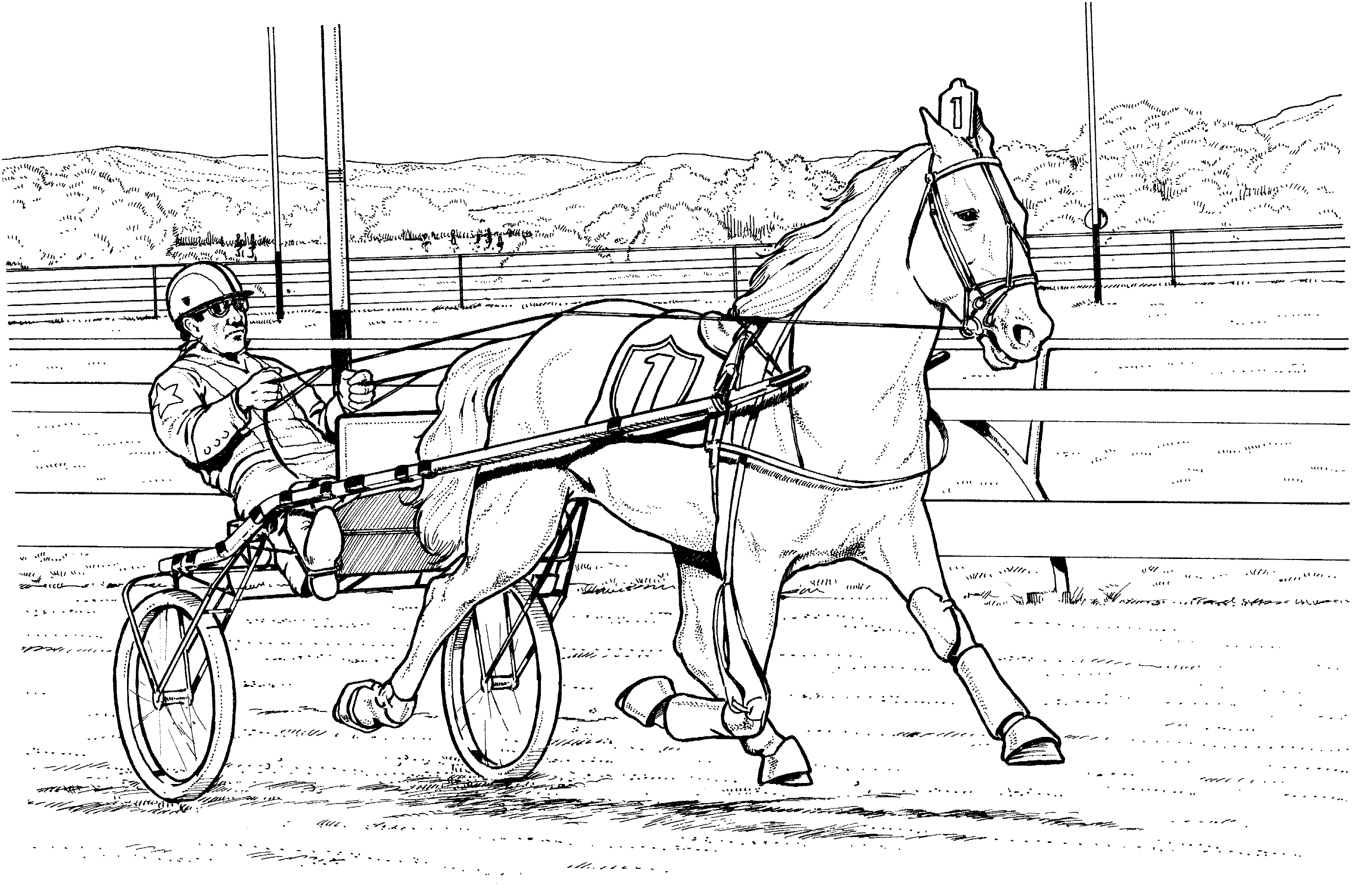 Carriage Harness Racing Coloring Page