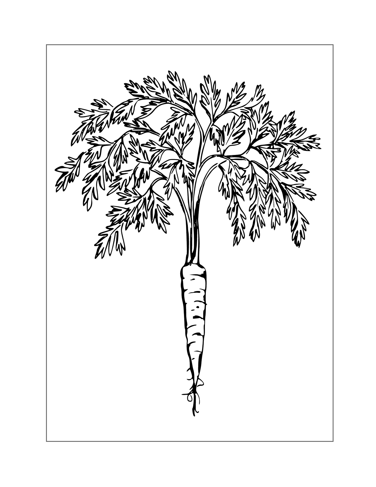 Carrot With Greens Coloring Page