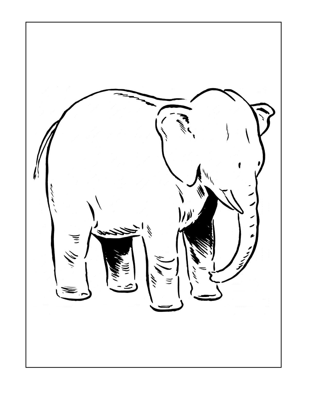 Cartoon Elephant Drawing Coloring Page