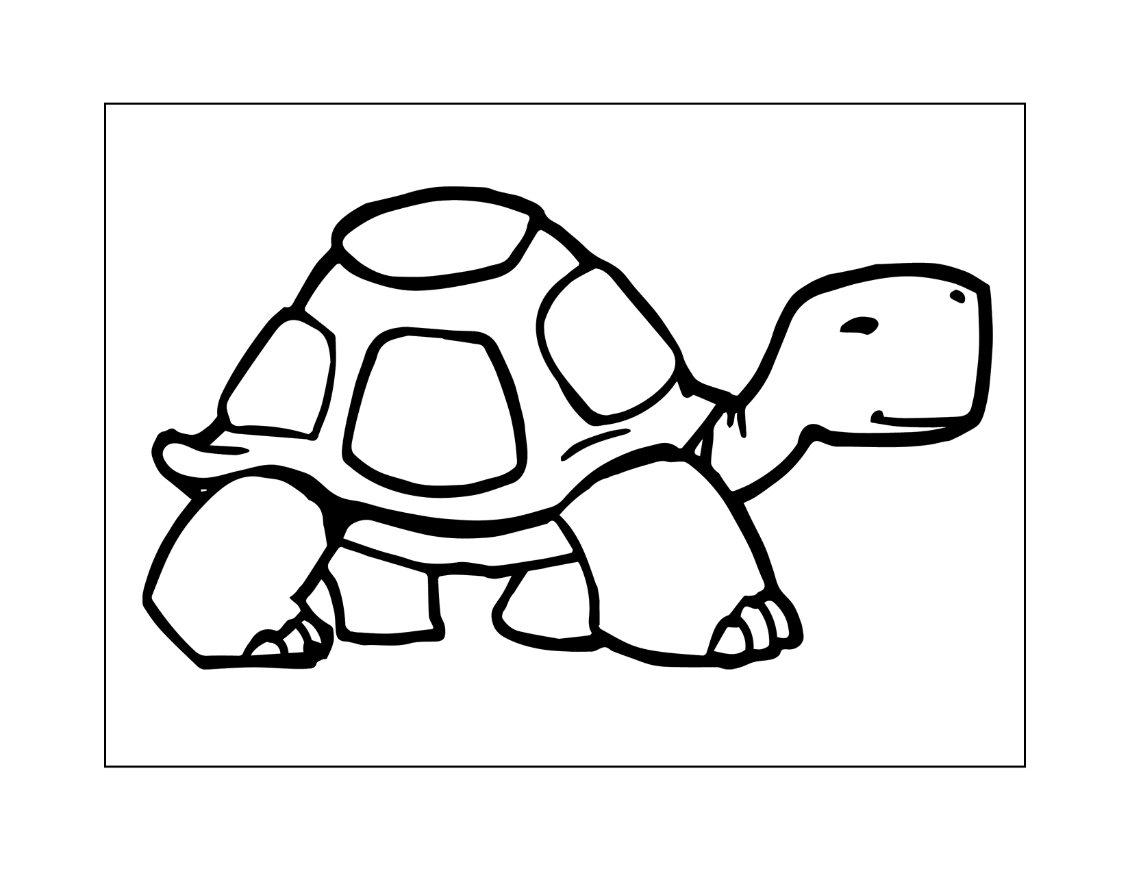 Cartoon Turtle Coloring Page