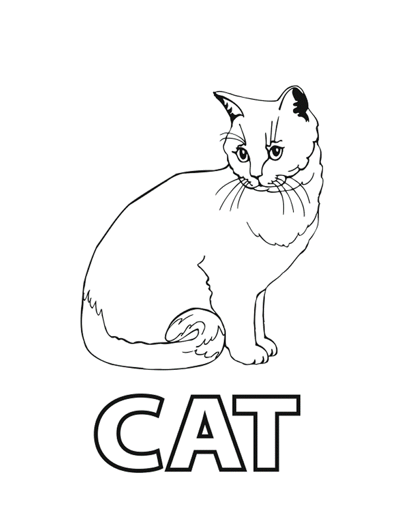 Cat Coloring Worksheet