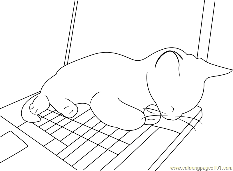 Cat Loves Warm Computer Coloring Page