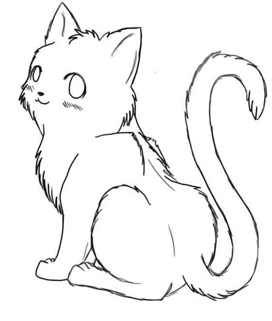 Cat Sketch To Color