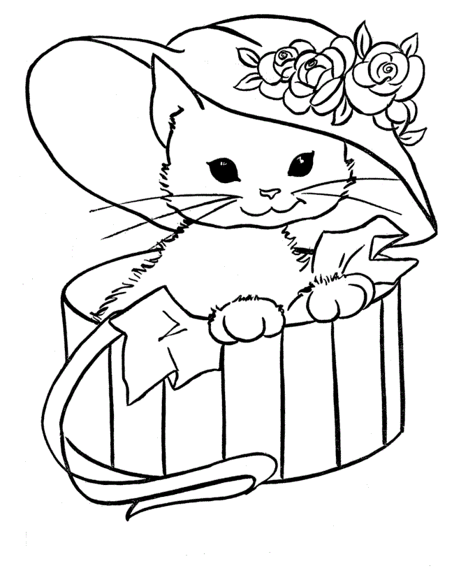 Cat With Hat Animal Coloring Pages