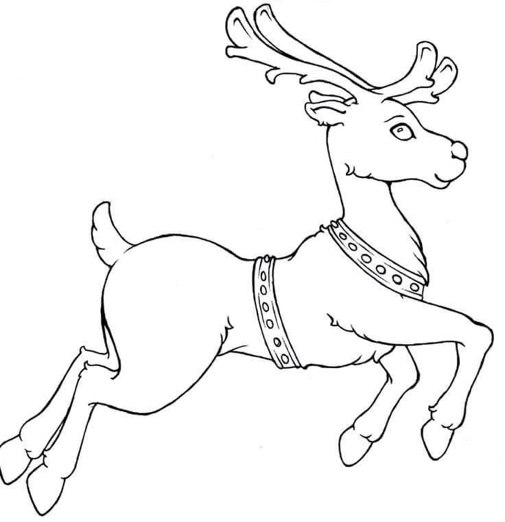 Christmas Reindeer Coloring Pages2