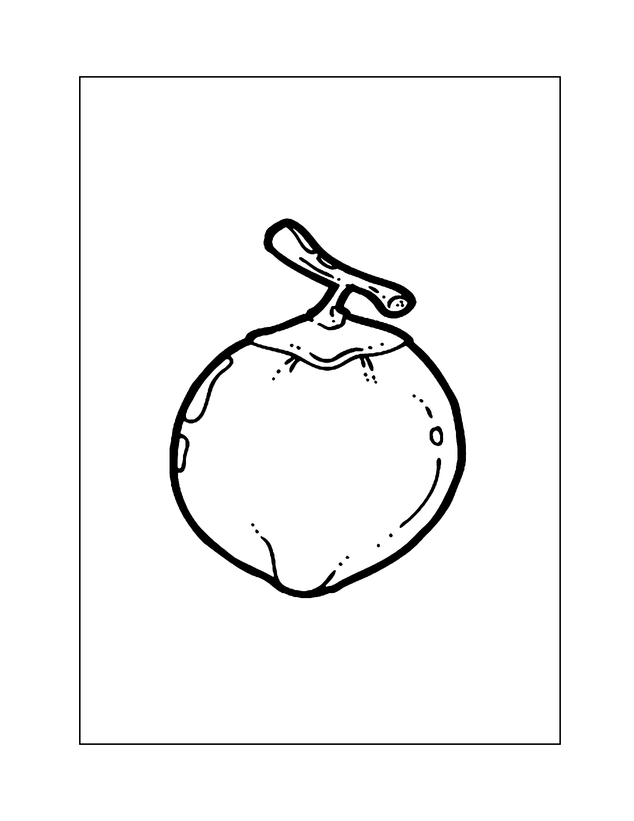 Coconut Hanging From Branch Coloring Page