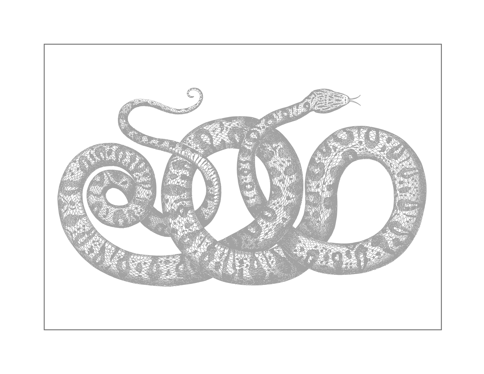 Coiled Snake Traceable Coloring Page