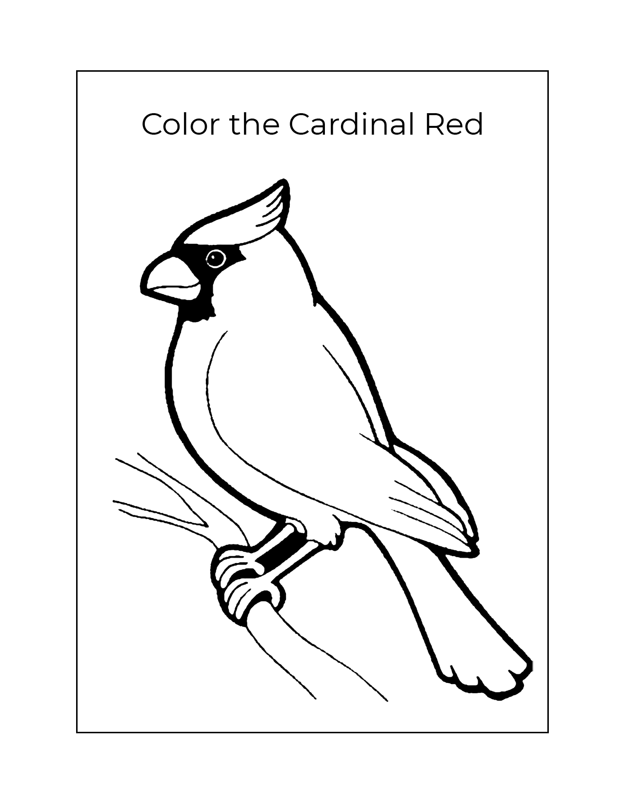 Color The Cardinal Red Worksheet