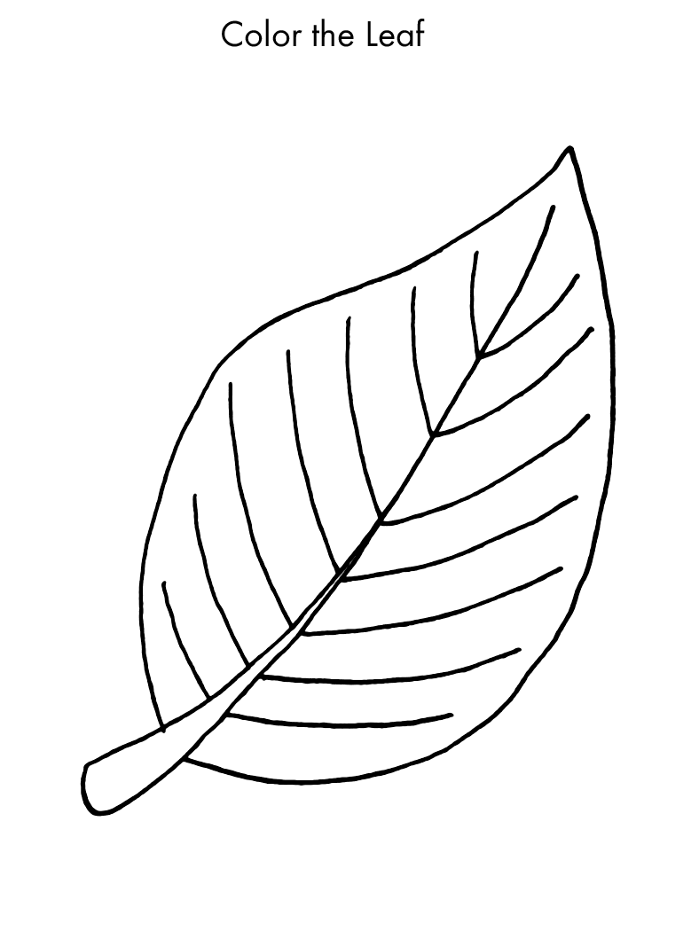 Leaf Coloring Pages – Printable Coloring Pages