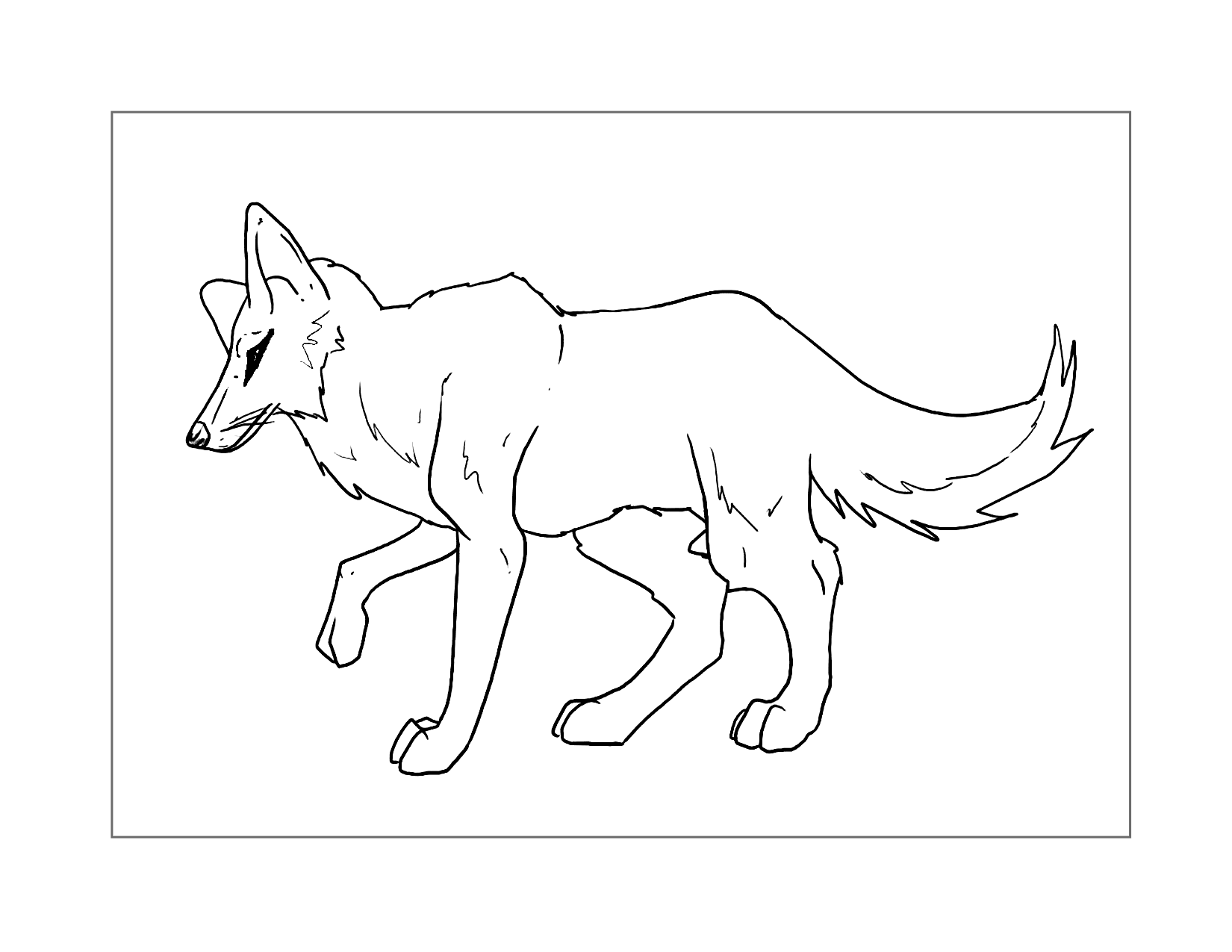 Cool Coyote Coloring Page