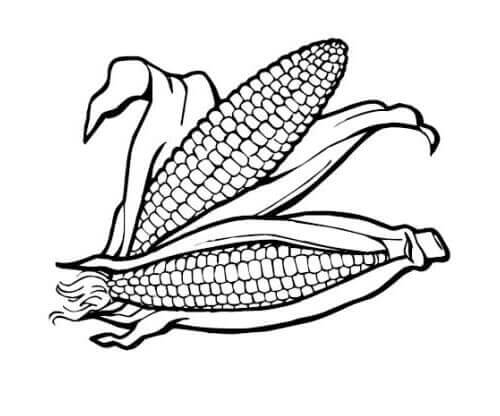 Corn Coloring Page
