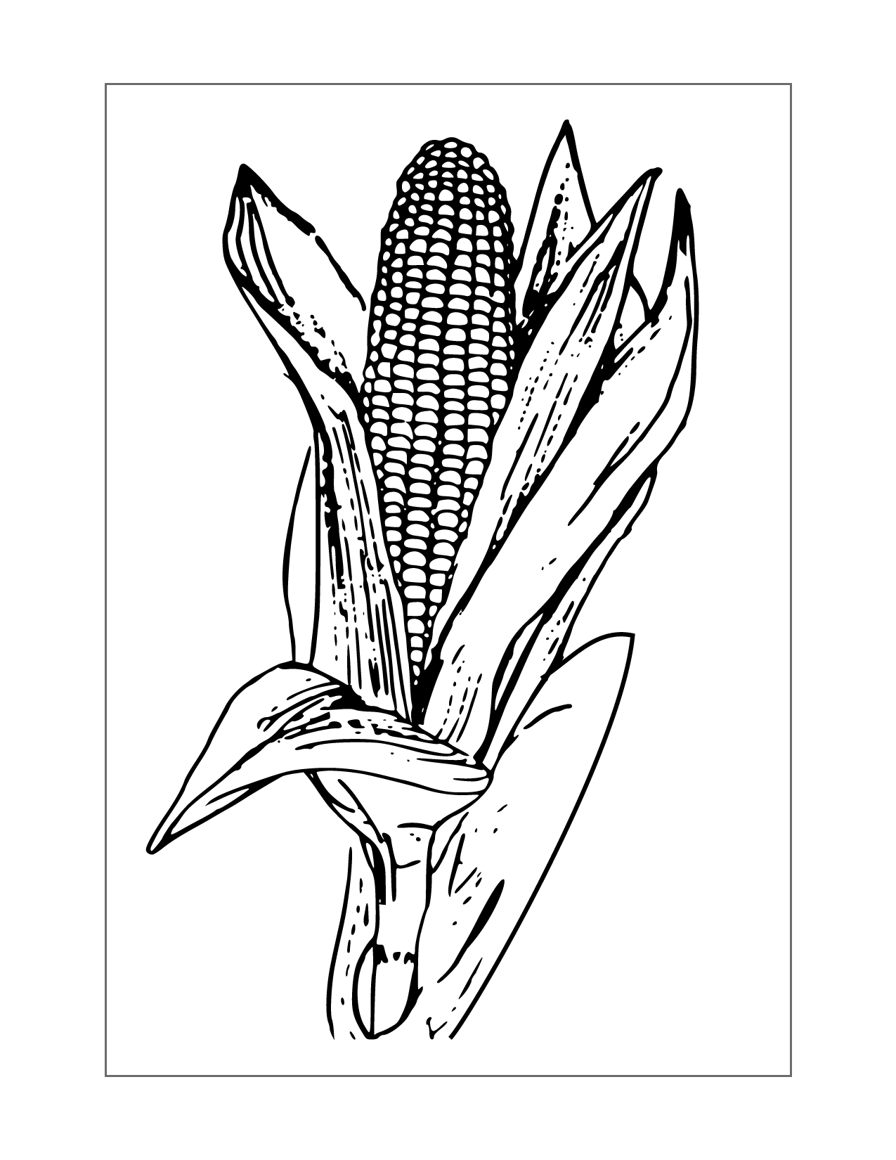 Corn Ear Coloring Pag