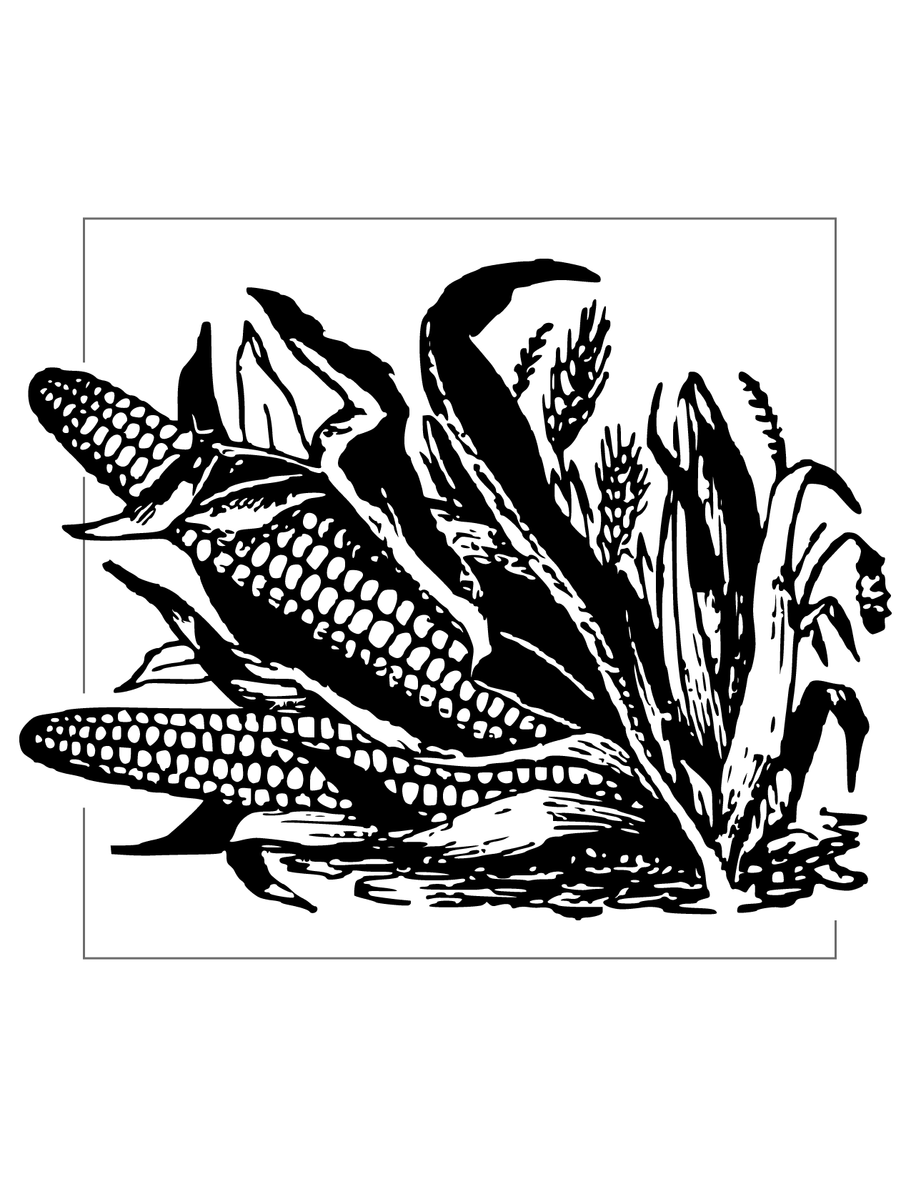 Corn Harvest Coloring Page