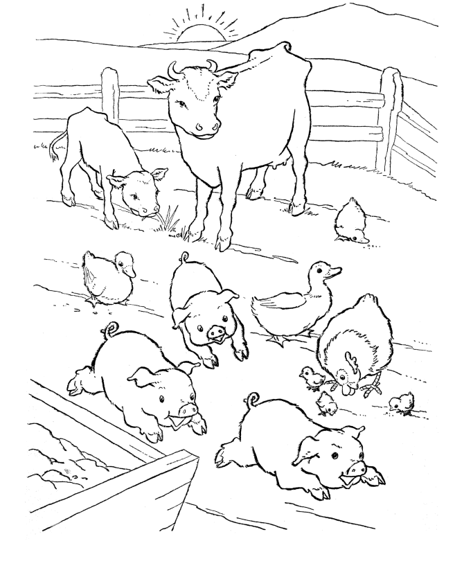 Cows And Pigs Farm Coloring Page