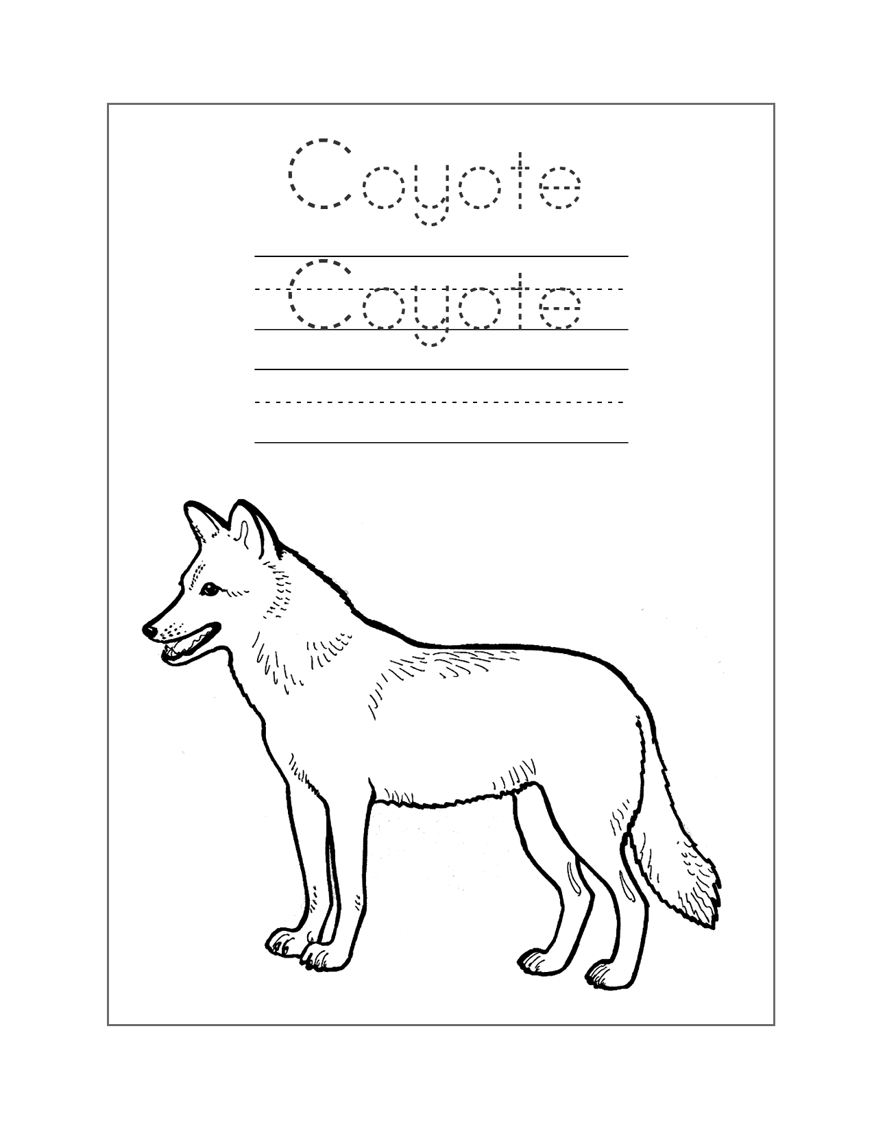 Coyote Spelling Coloring Sheet