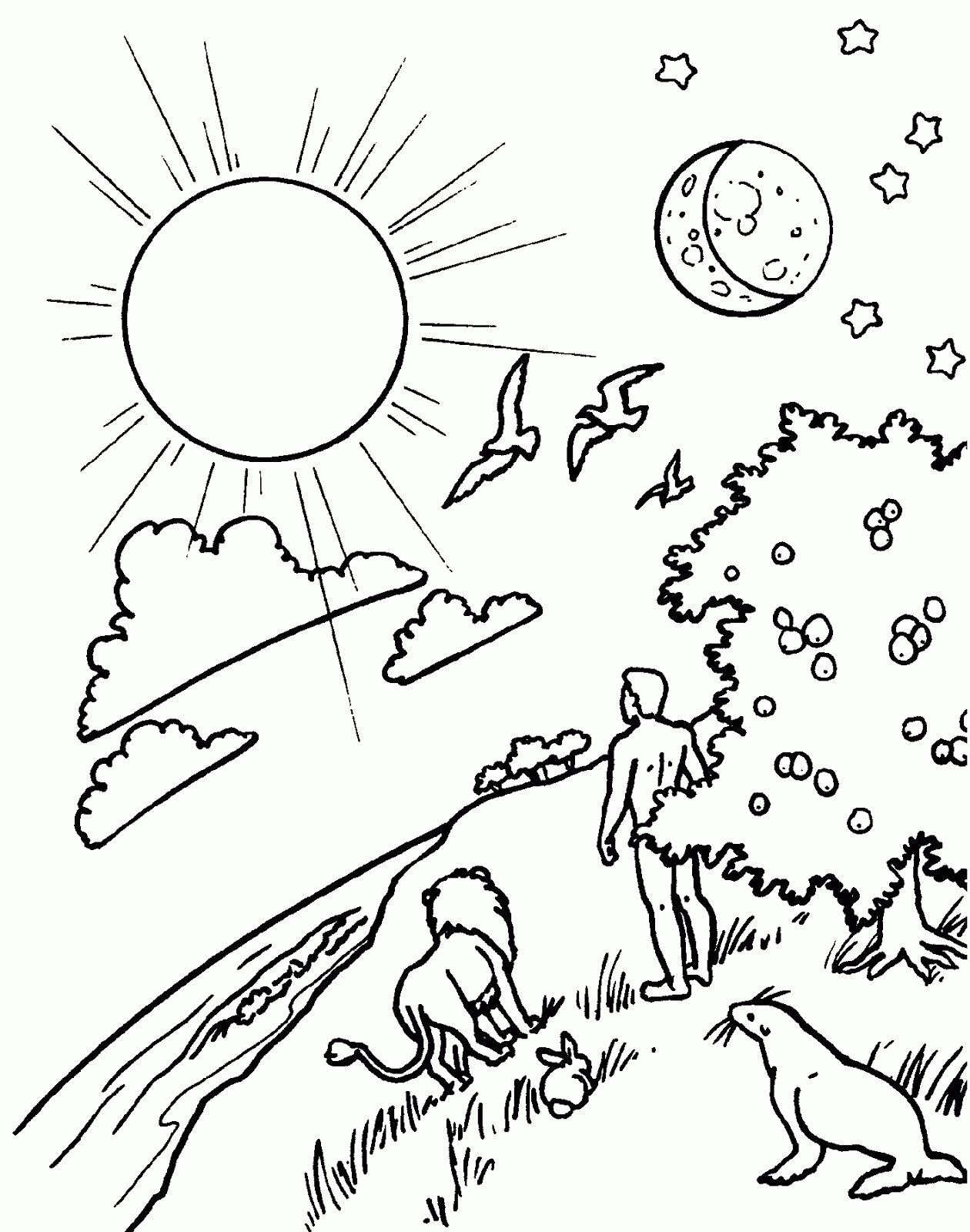 Creation Bible Coloring Pages