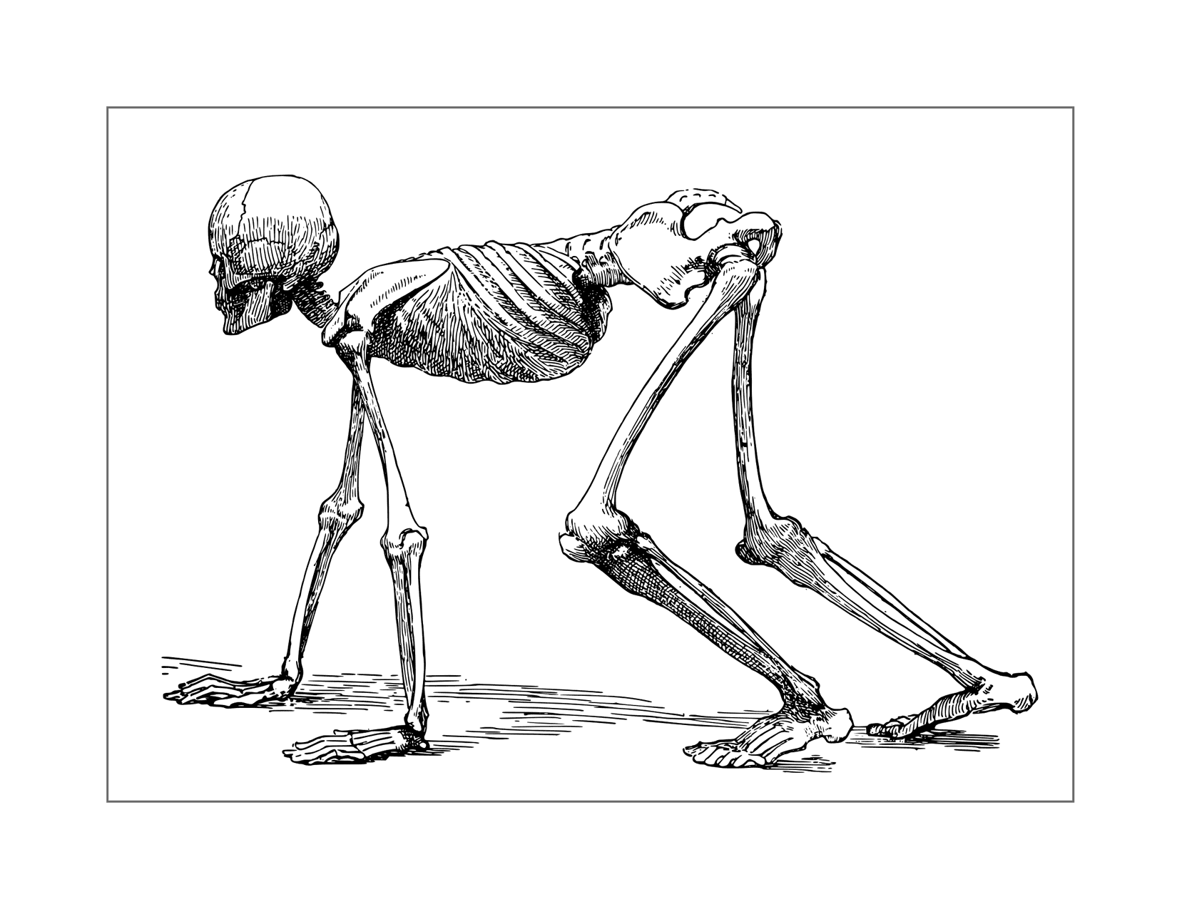 Creepy Crawling Skeleton Person Coloring Page