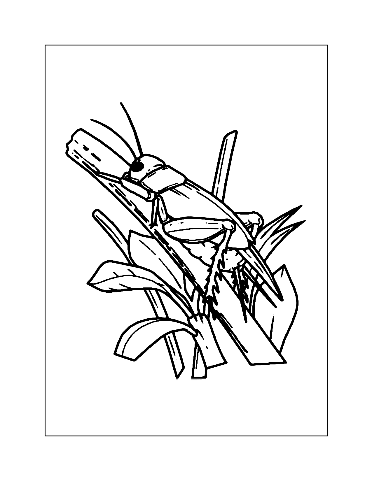 Cricket In Nature Coloring Page