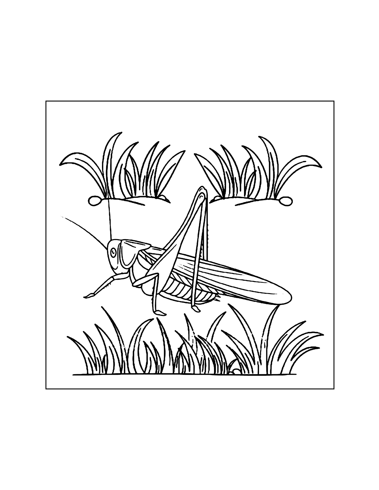 Cricket In The Grass Coloring Page