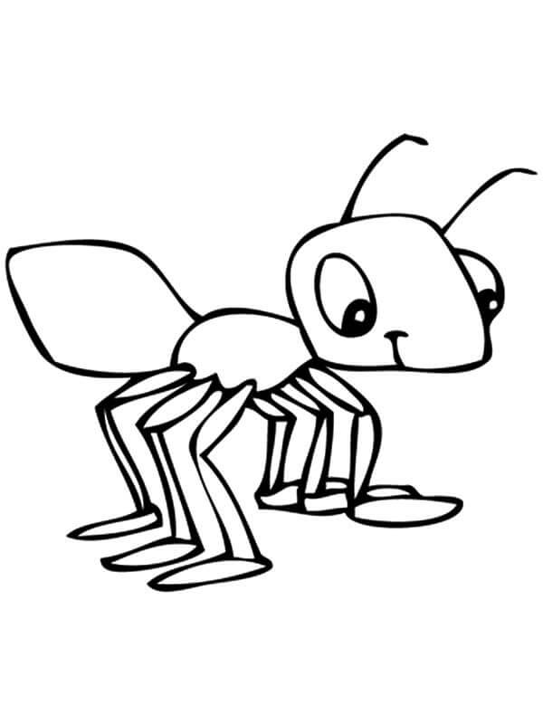 Cute Ant Coloring Pages2