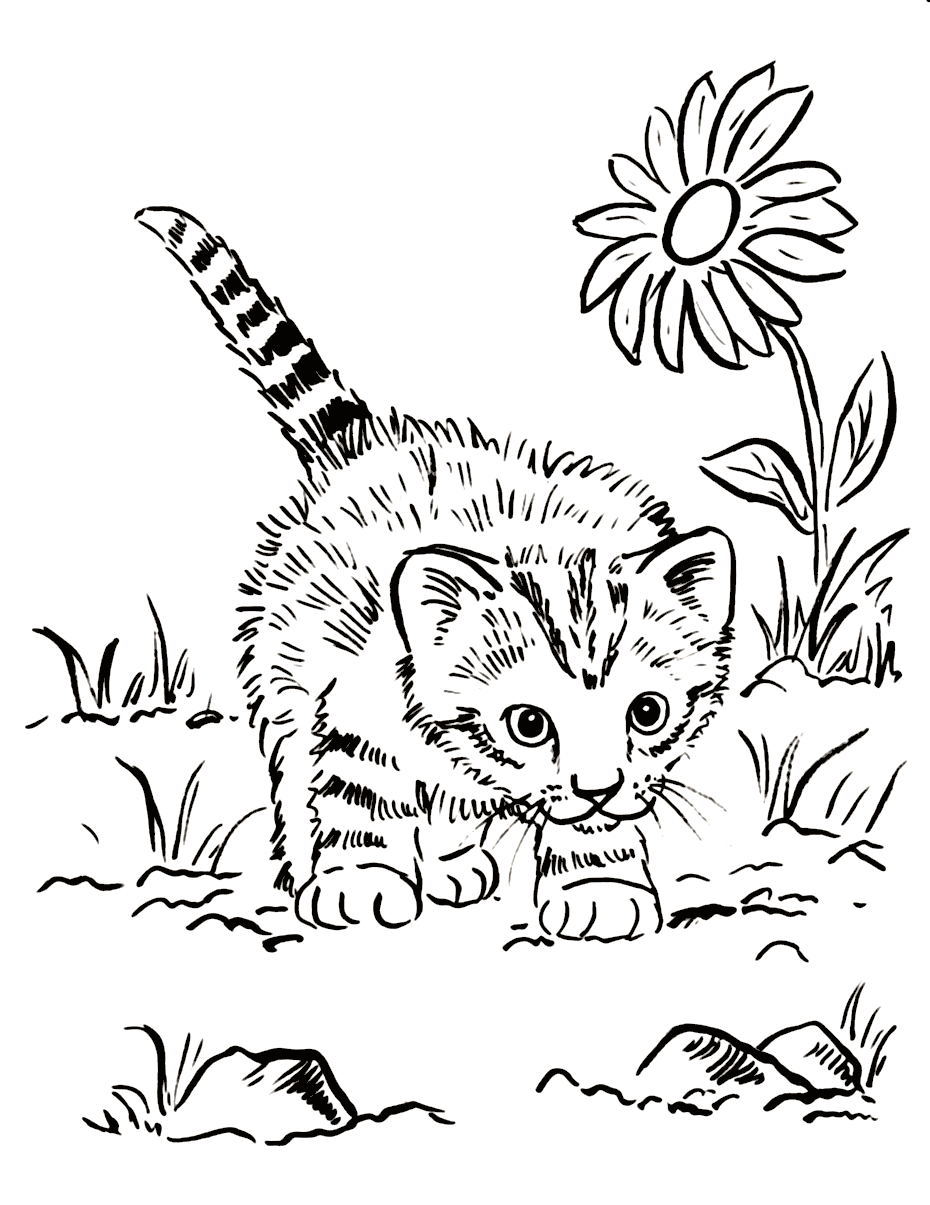 Cute Baby Kitten Coloring Page