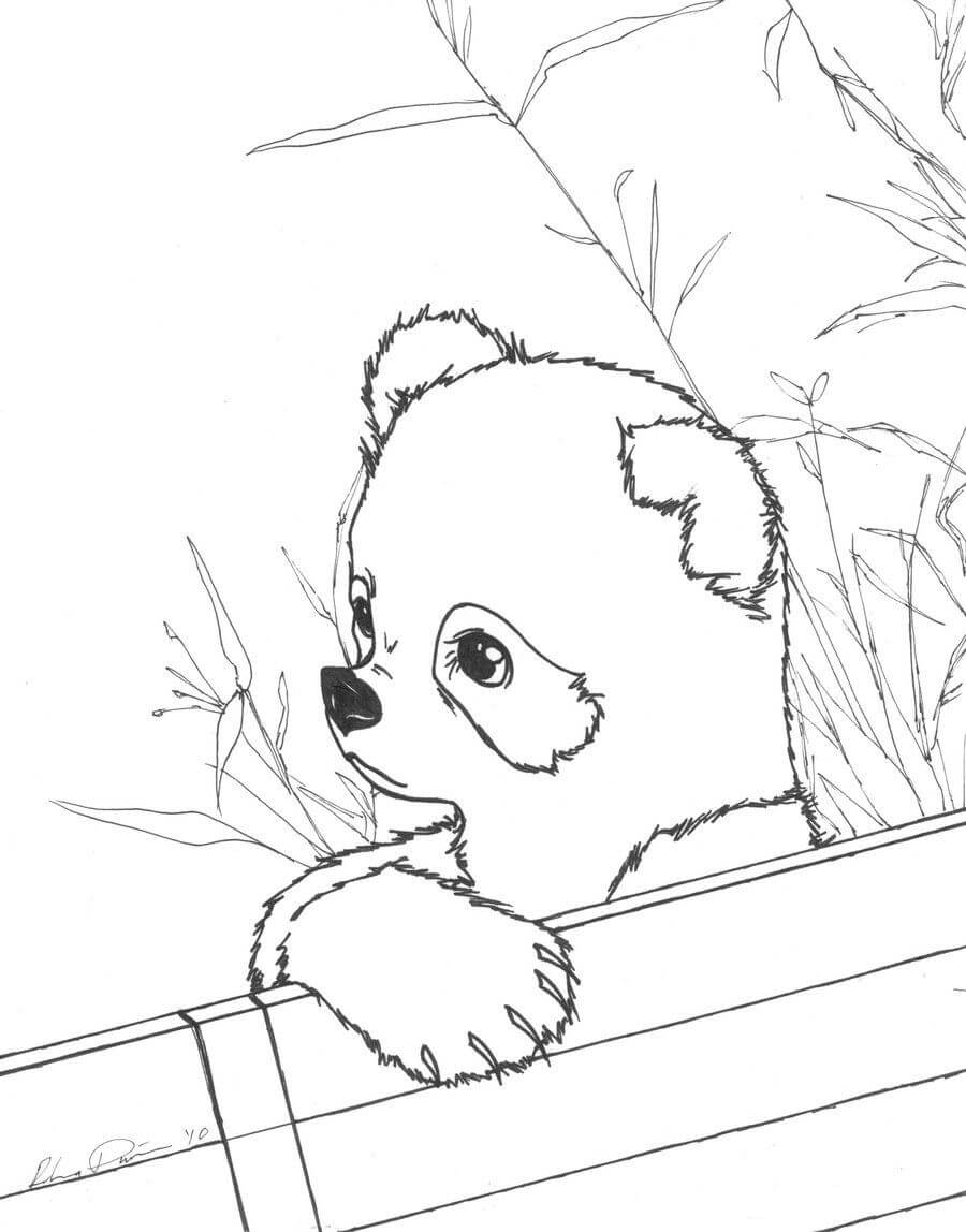 Cute Baby Panda Drawing to Color