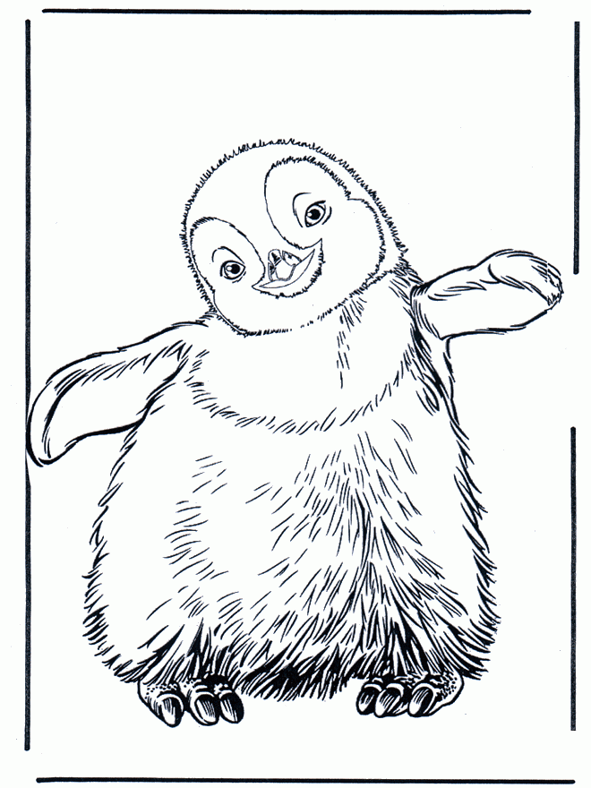 Cute Baby Penguine Coloring Pages