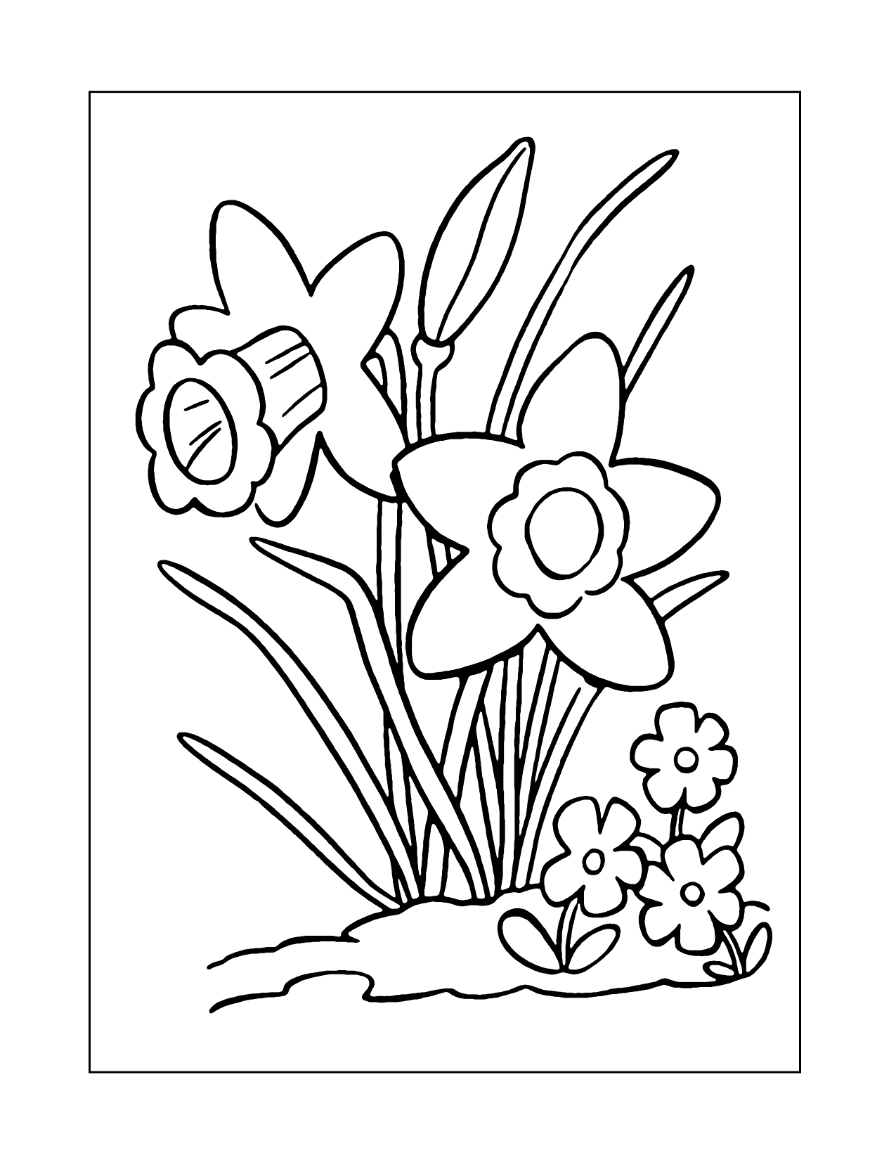 Cute Daffodil Flowers Coloring Page