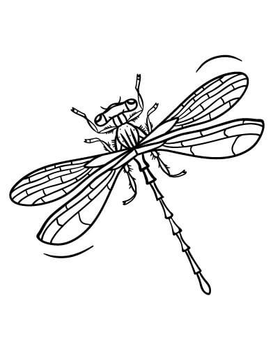 Cute Dragonfly Coloring Pages