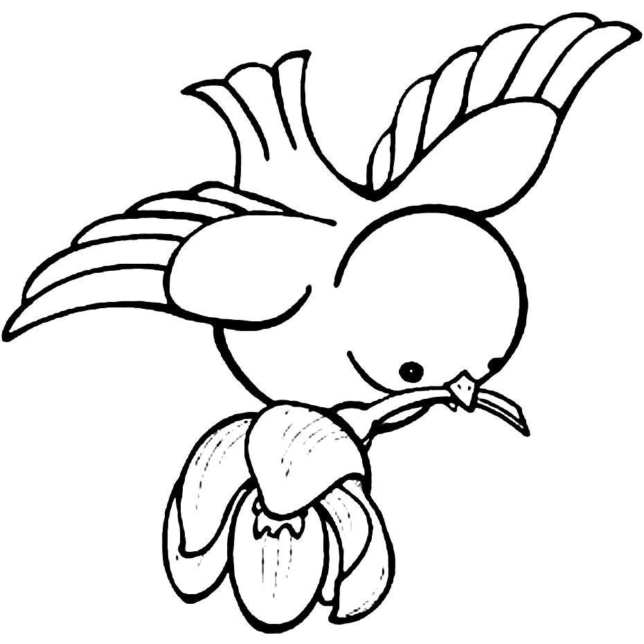 Cute Flying Bird Coloring Page