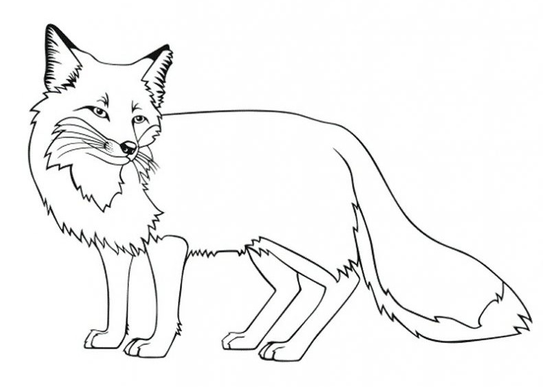 Coloring and Drawing: Cute Anime Cute Fox Coloring Pages