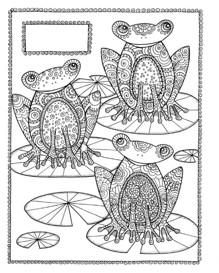 Cute Frog Coloring Page for Adults