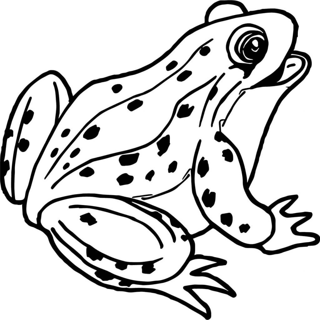 Cute Frog Coloring Page For Kids