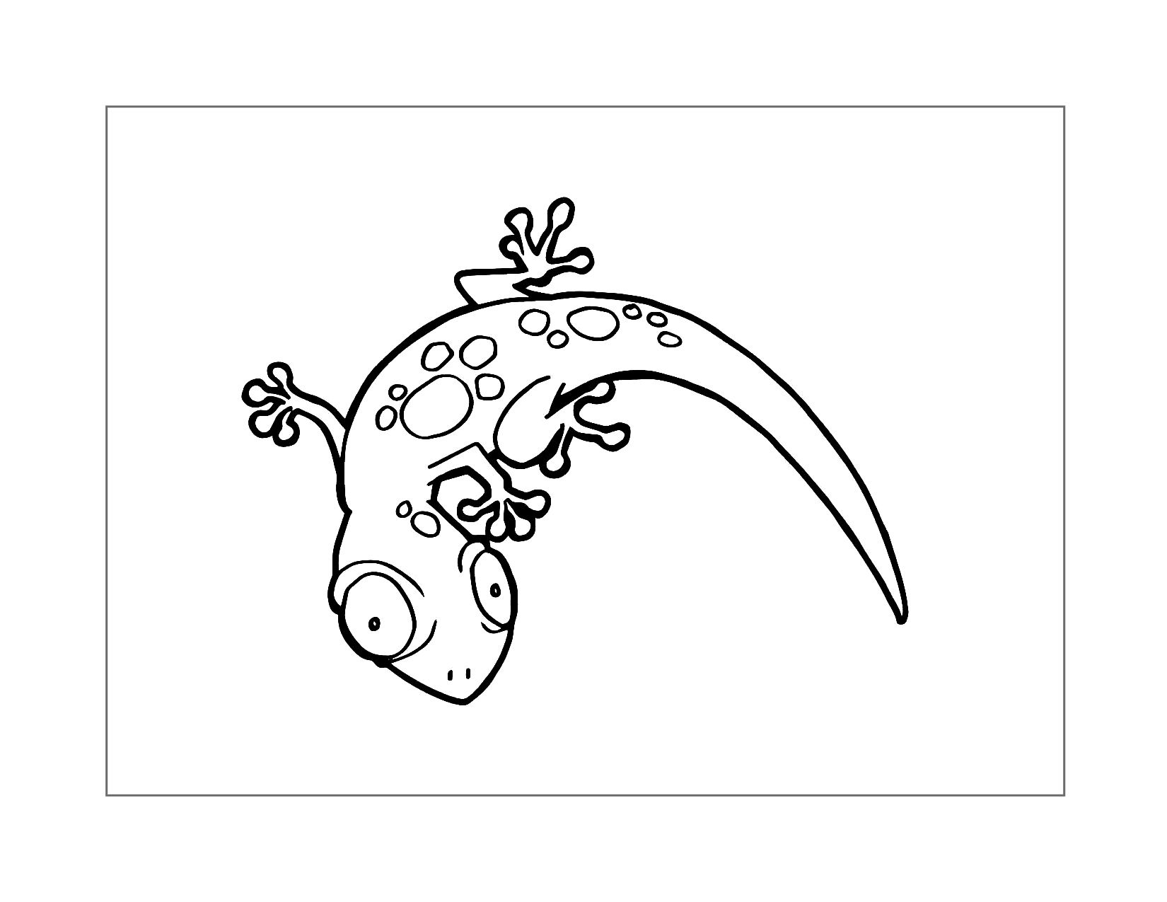 Cute Lizard Coloring Pages