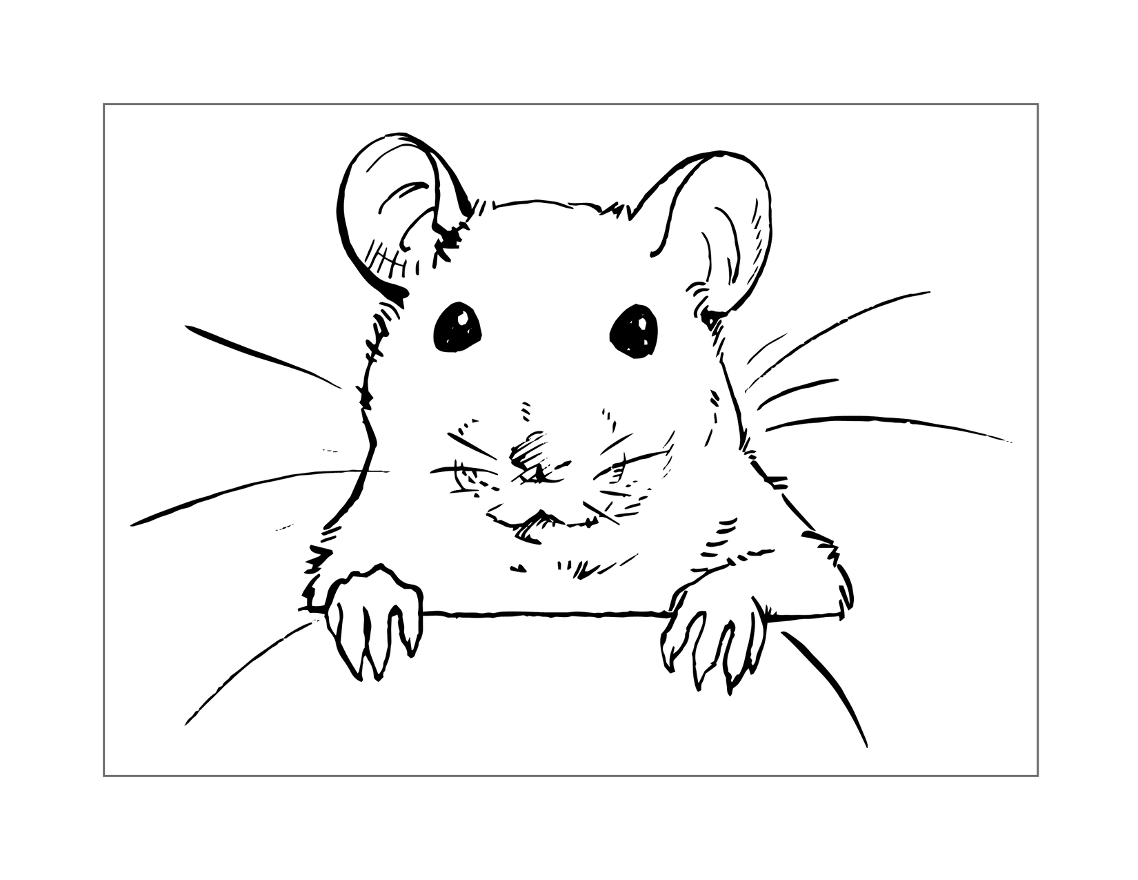 Cute Mouse Peeking Up Coloring Page
