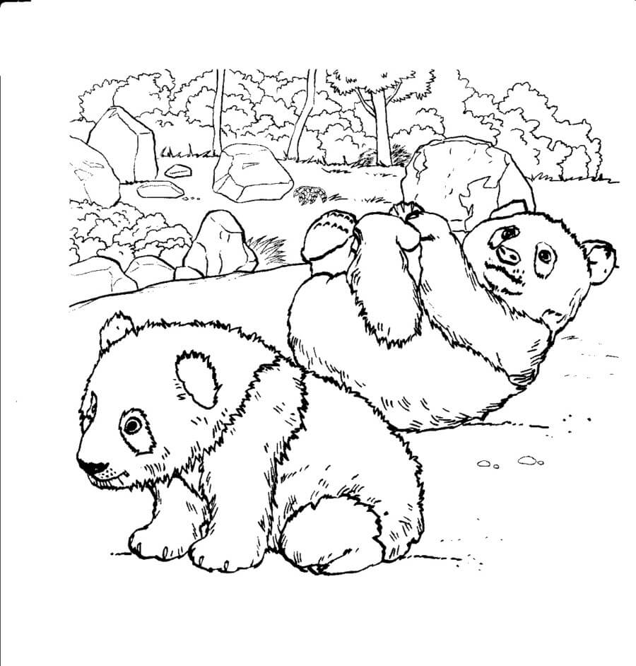 Cute Pandas Coloring Page