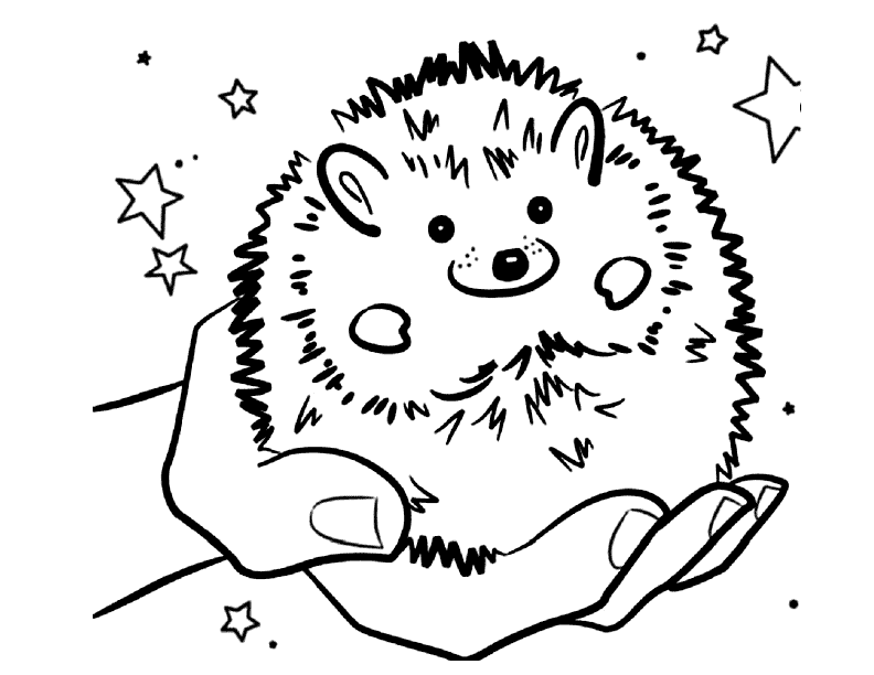 Cute Pet Hedgehog Coloring Page