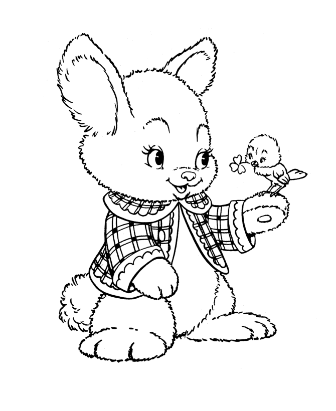 Cute Peter Rabbit and Bird Coloring Pages