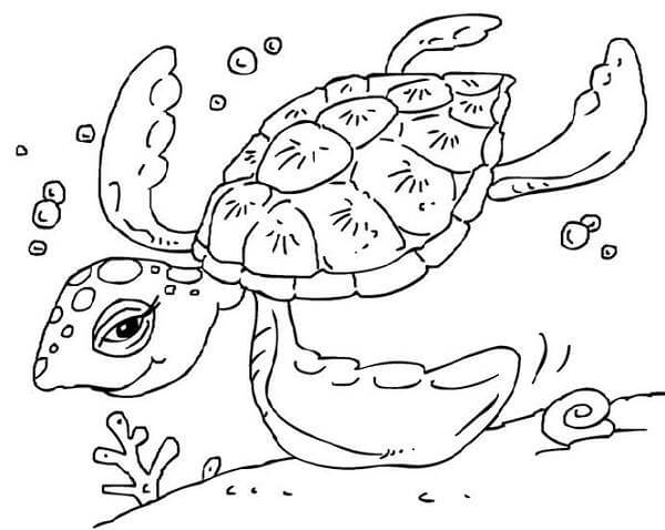 Cute Sea Turtle Coloring Page