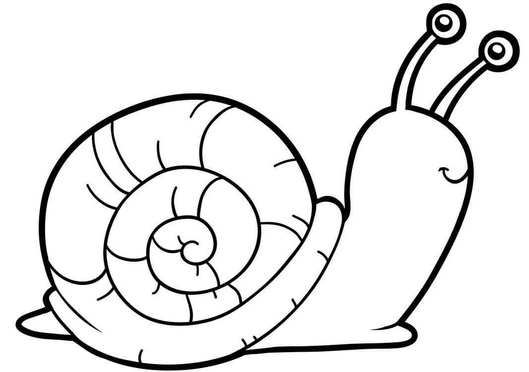 Cute Snail Coloring Pages