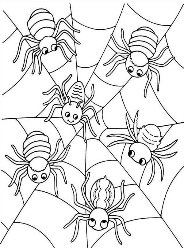 Cute Spiders Coloring Page