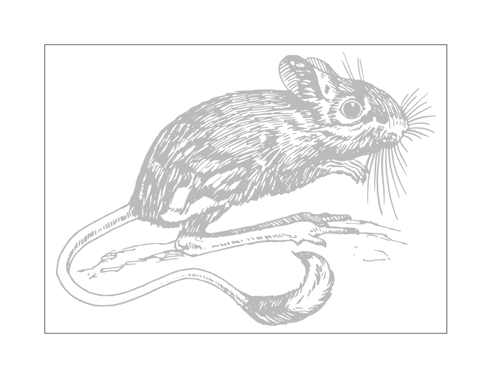 Cute Traceable Mouse Drawing Sheet