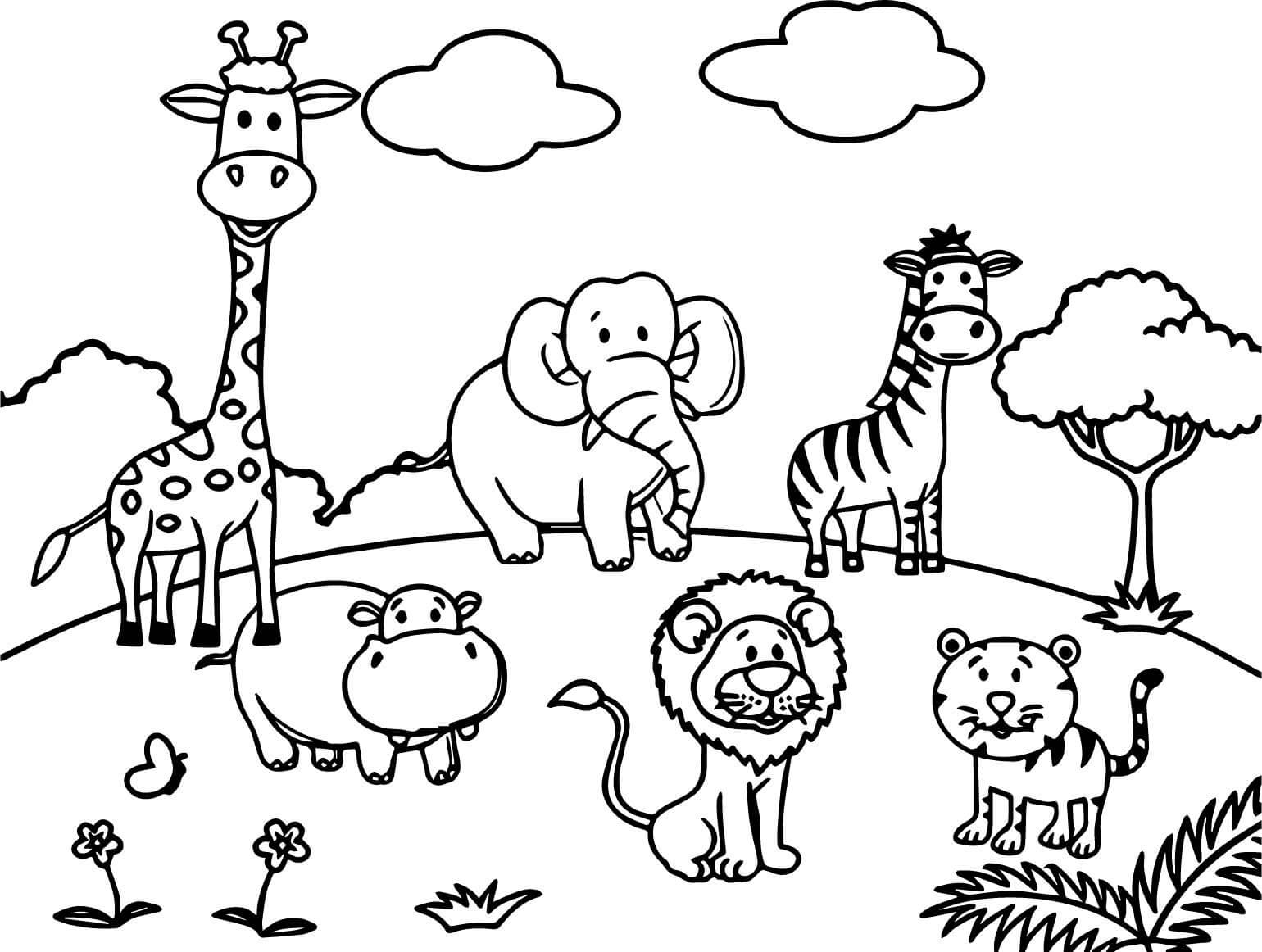 Cute Zoo Animals Coloring For Kids
