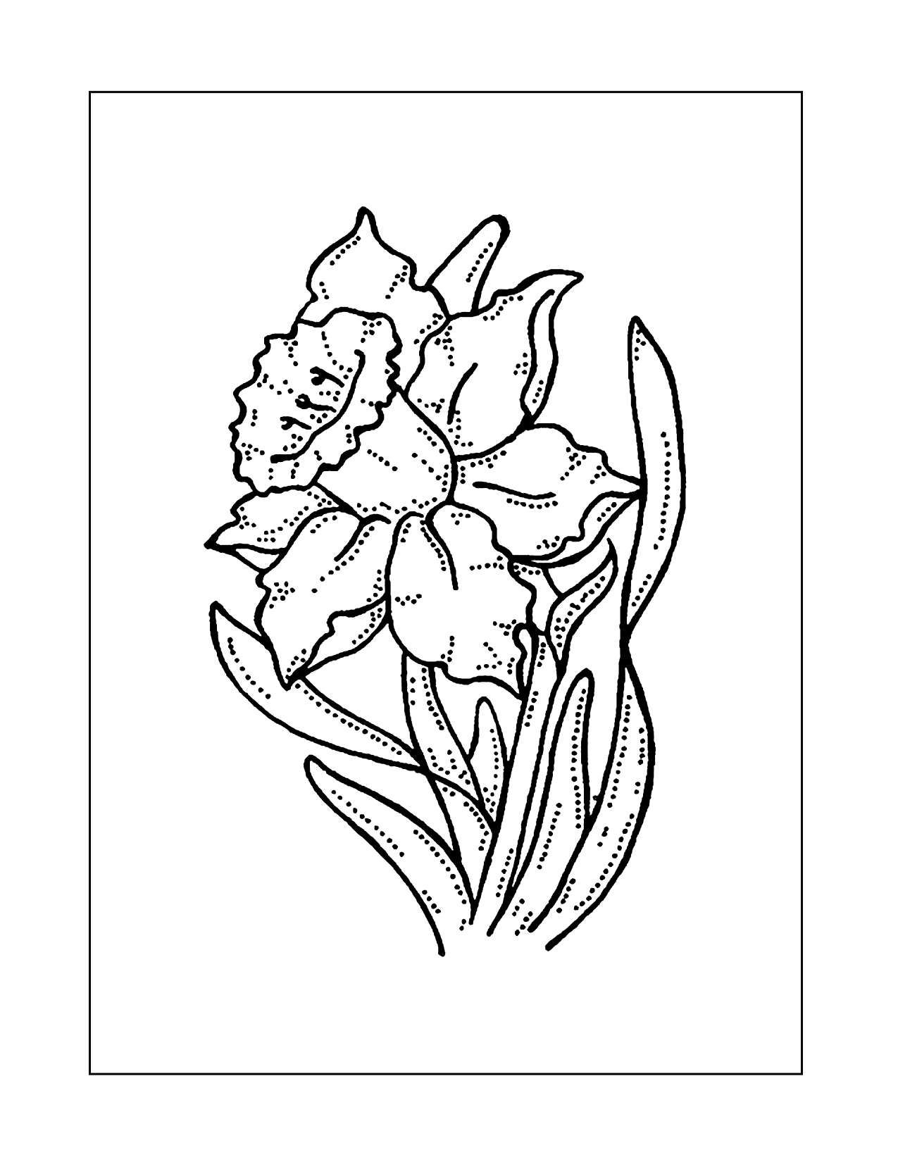 Daffodil Art Coloring Page