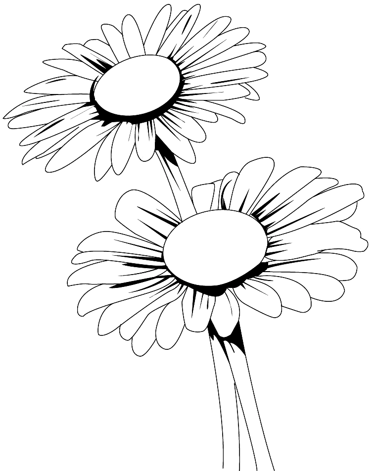 Daisy Flower Coloring Pages