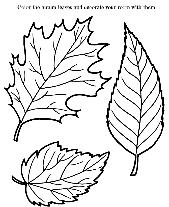 Decorate Leaves Coloring Page
