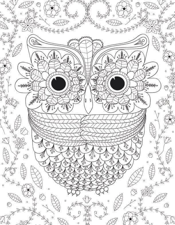 Detailed Owl Coloring Page for Adults