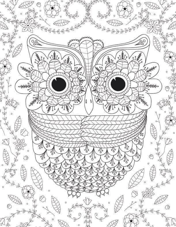 Simple Owl Coloring Pages For Adults - Georgiananyc