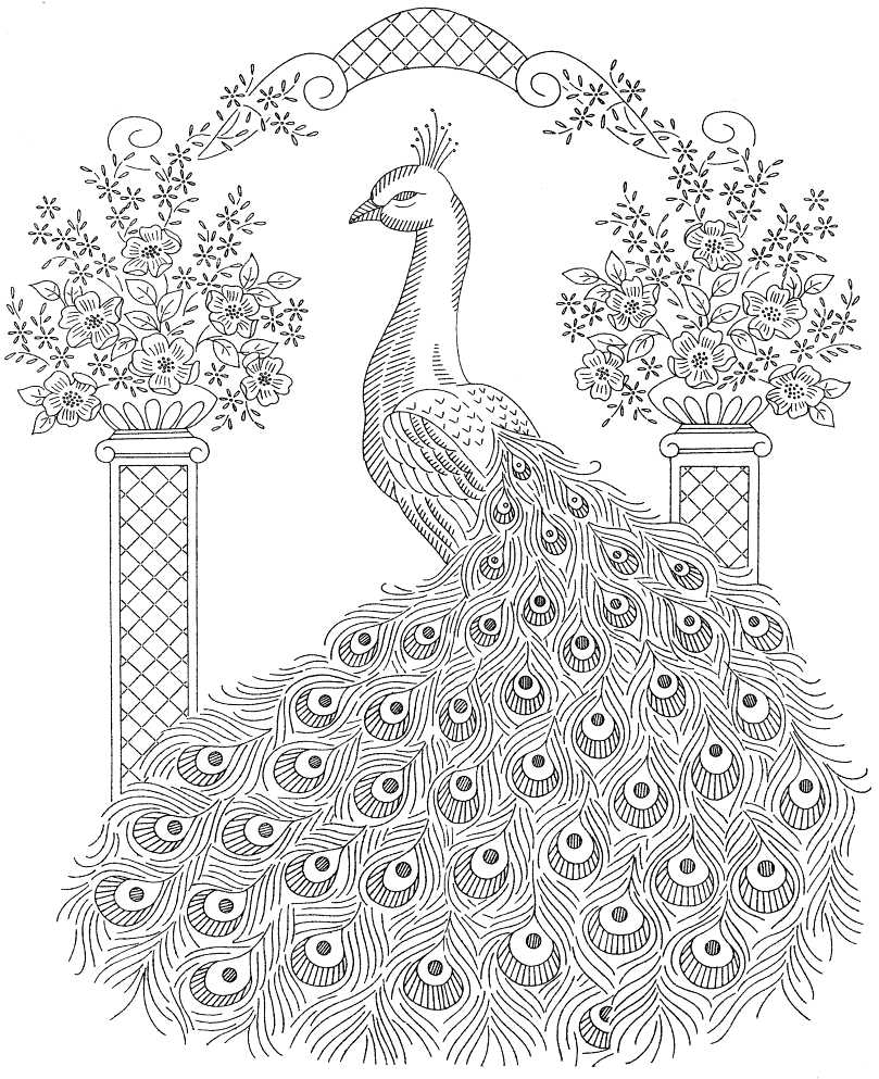 Peacock Coloring Pages Coloring Rocks