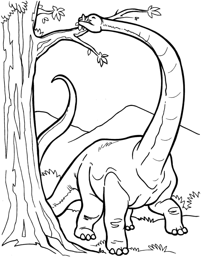 Diplodocus Dinosaur Coloring Pages